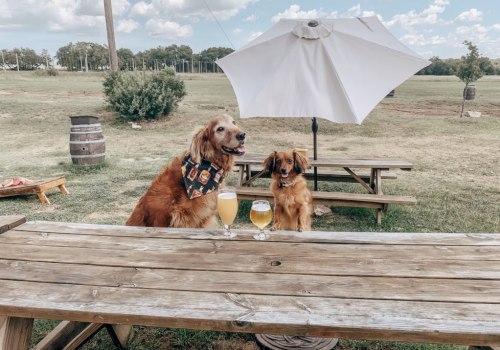 Dog-Friendly Pubs in Cedar Park, TX: A Guide for Pet Owners
